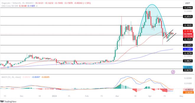 doge狗狗币还是shib屎币哪个好 狗狗币和屎币哪个值得投资-第2张图片-华展网