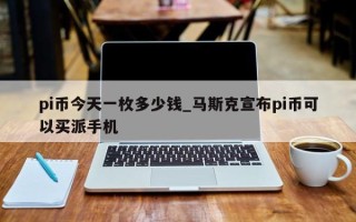 pi币今天一枚多少钱_马斯克宣布pi币可以买派手机